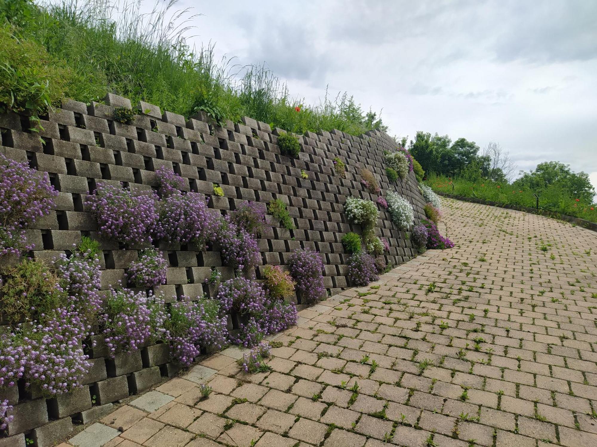 Villa Fiorita Avigliana Eksteriør billede